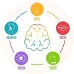 Sensory Processing Disorder